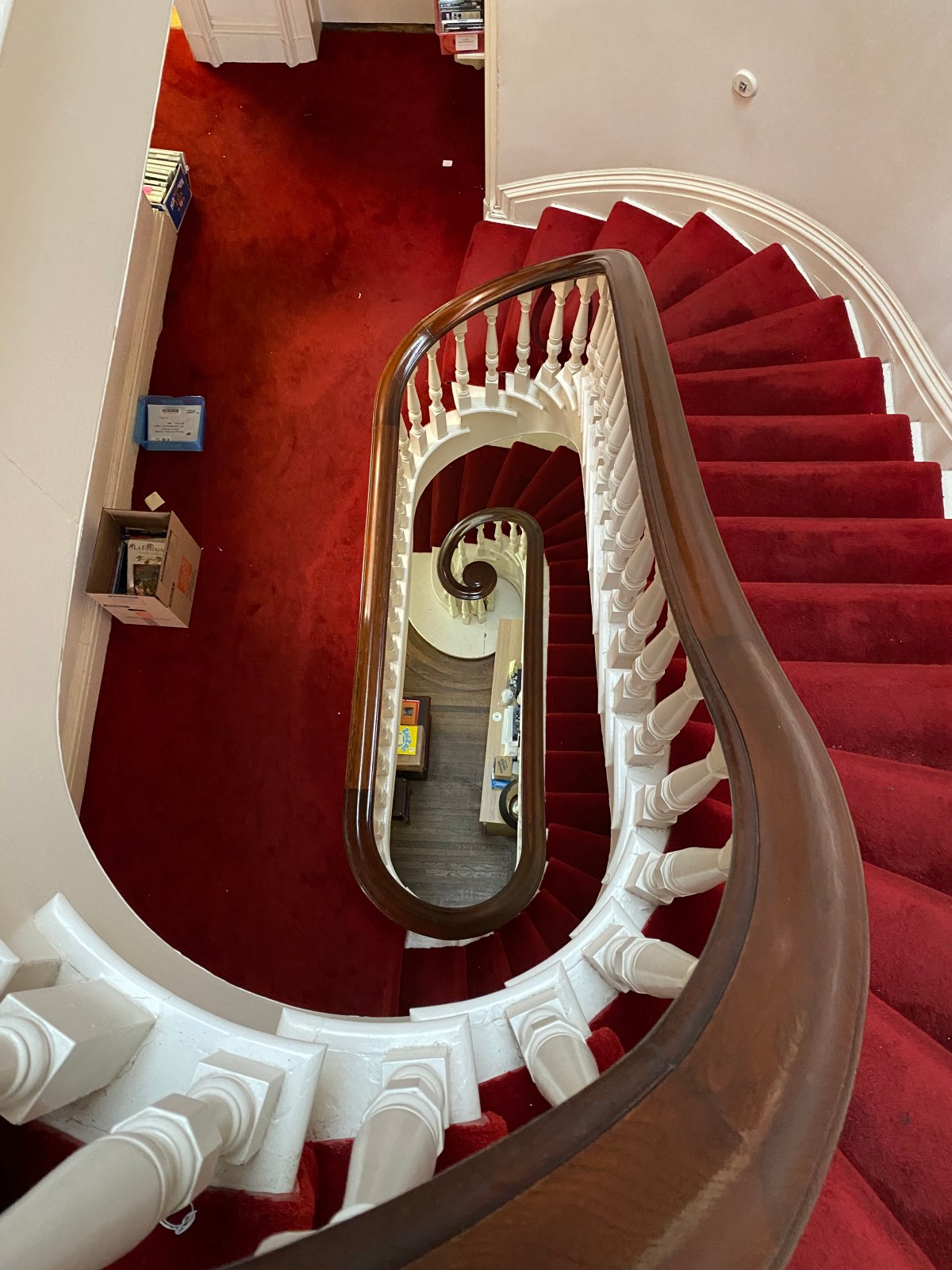 Renovation Update #1: A la découverte du temps perdu&nbsp;!